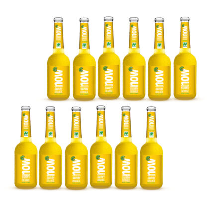 Now Sunny Orange Bio Limonade by Lammsbräu 12 Flaschen