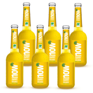Now Sunny Orange Bio Limonade by Lammsbräu 6 Flaschen
