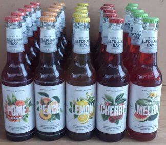 Elephant Bay Probierpaket 25 Flaschen je 0,33l